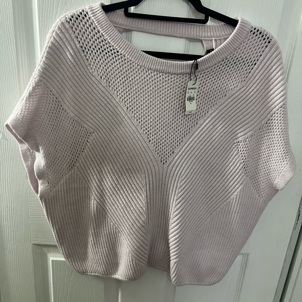 Express Soft Pink Textured Sweater Size Medium New With Tags!